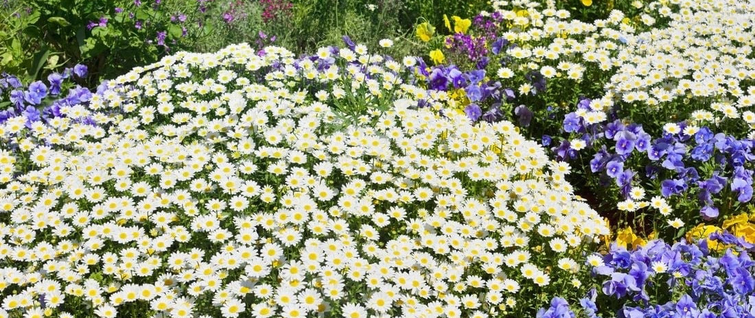 68cfffe0d97bf bp cover image