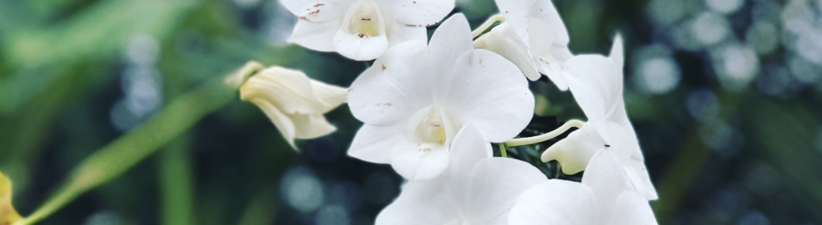 68f560bcd59ad bp cover image