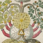 Group logo of Herbal Alchemy